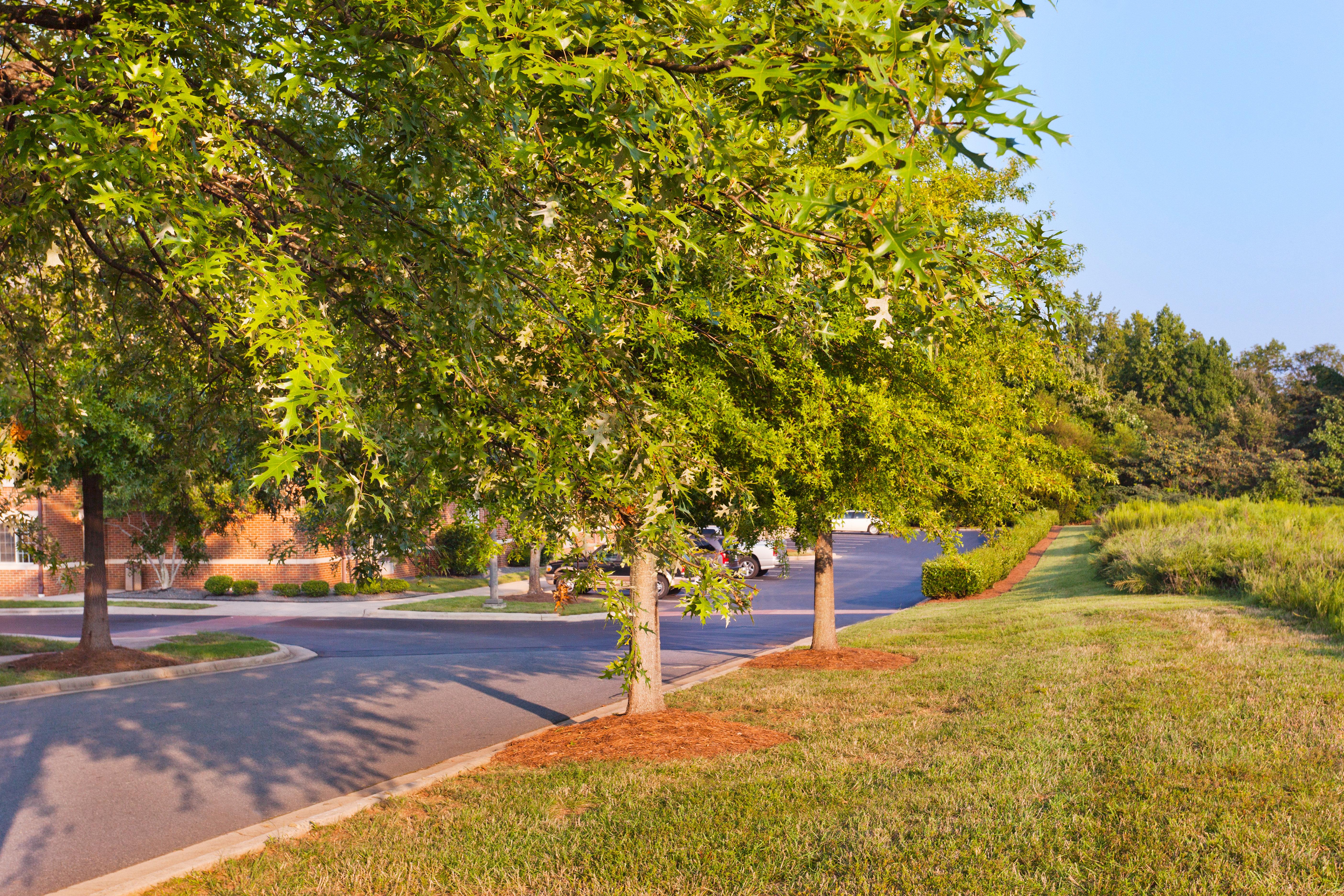 Sonesta Simply Suites Charlotte University Exteriér fotografie